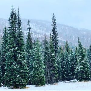 Meet your Posher, Ali